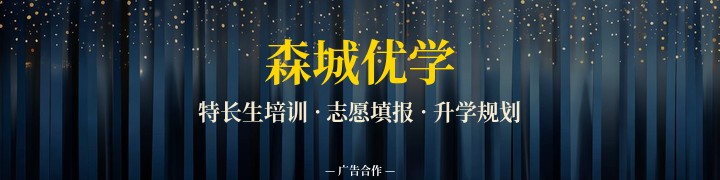 森城优学 · 特长生培训 志愿填报 升学规划